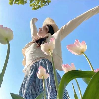 科搜研之女第24季